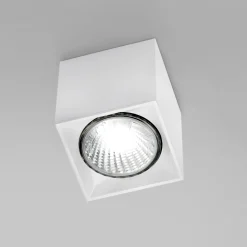 Milan Dau Spot Deckenstrahler