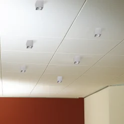 Milan Dau Spot Deckenstrahler