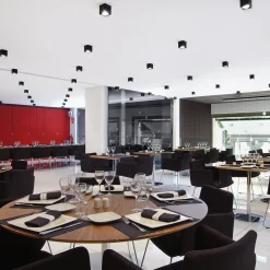 Milan Dau Spot Deckenstrahler