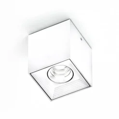 Milan Dau Spot LED Deckenstrahler