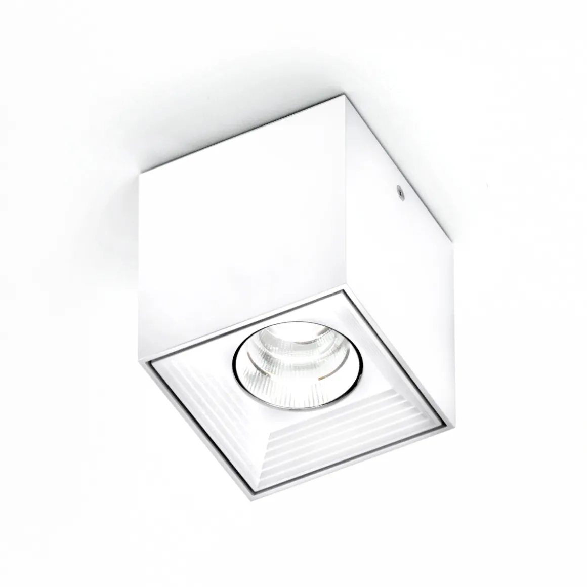 Milan Dau Spot LED Deckenstrahler