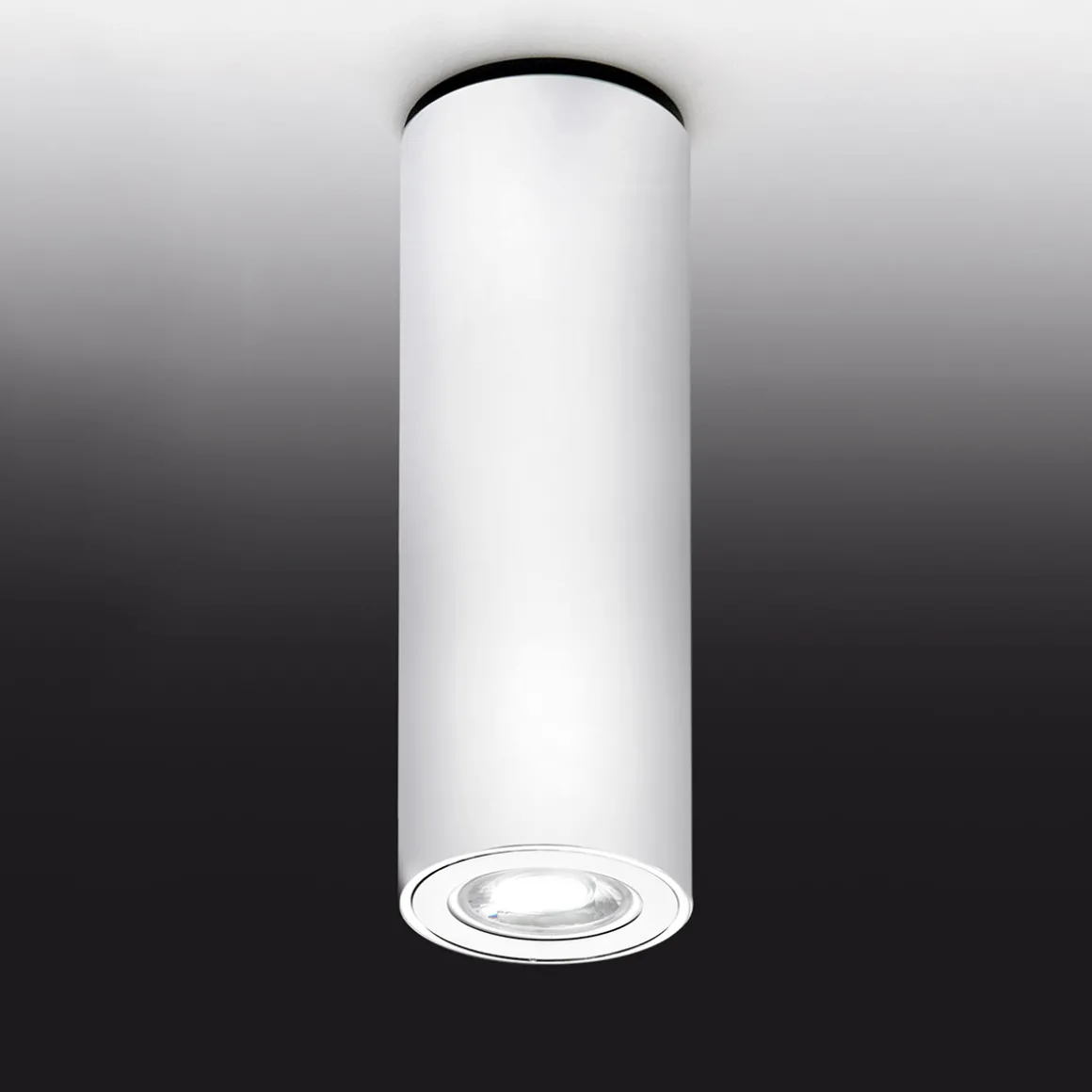 Milan Kronn Deckenspot