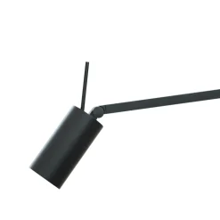 Nemo Swan LED Parete