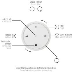 Neuhaus PURE by Paul Neuhaus PURE E-Loop LED Pendelleuchte mit e-LIFT und CCT