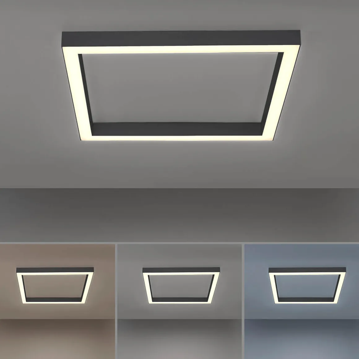 Neuhaus PURE by Paul Neuhaus PURE Lines Square LED Deckenleuchte mit CCT
