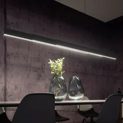 Neuhaus PURE by Paul Neuhaus PURE Moto-Rise LED Pendelleuchte mit e-SLIDE, e-LIFT und CCT