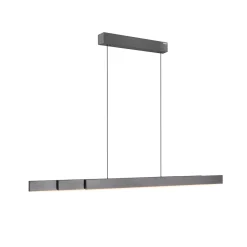 Neuhaus PURE by Paul Neuhaus PURE Moto-Rise LED Pendelleuchte mit e-SLIDE, e-LIFT und CCT