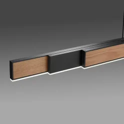 Neuhaus PURE by Paul Neuhaus PURE Moto-Rise LED Pendelleuchte mit e-SLIDE, e-LIFT und CCT