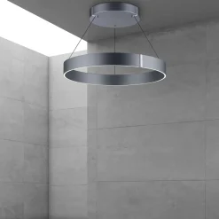 Neuhaus PURE by Paul Neuhaus PURE E-Clipse LED Pendelleuchte mit e-LIFT und CCT