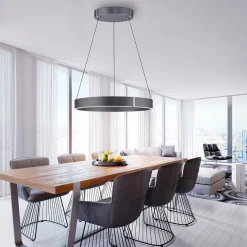 Neuhaus PURE by Paul Neuhaus PURE E-Clipse LED Pendelleuchte mit e-LIFT und CCT