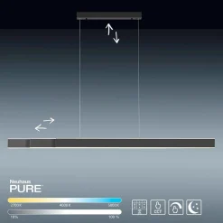 Neuhaus PURE by Paul Neuhaus PURE Lume LED Pendelleuchte mit CCT