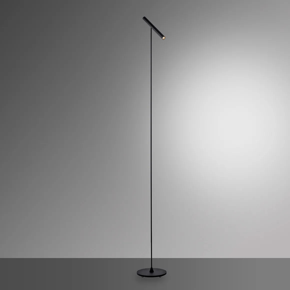 Neuhaus PURE by Paul Neuhaus PURE Tutua LED Stehleuchte