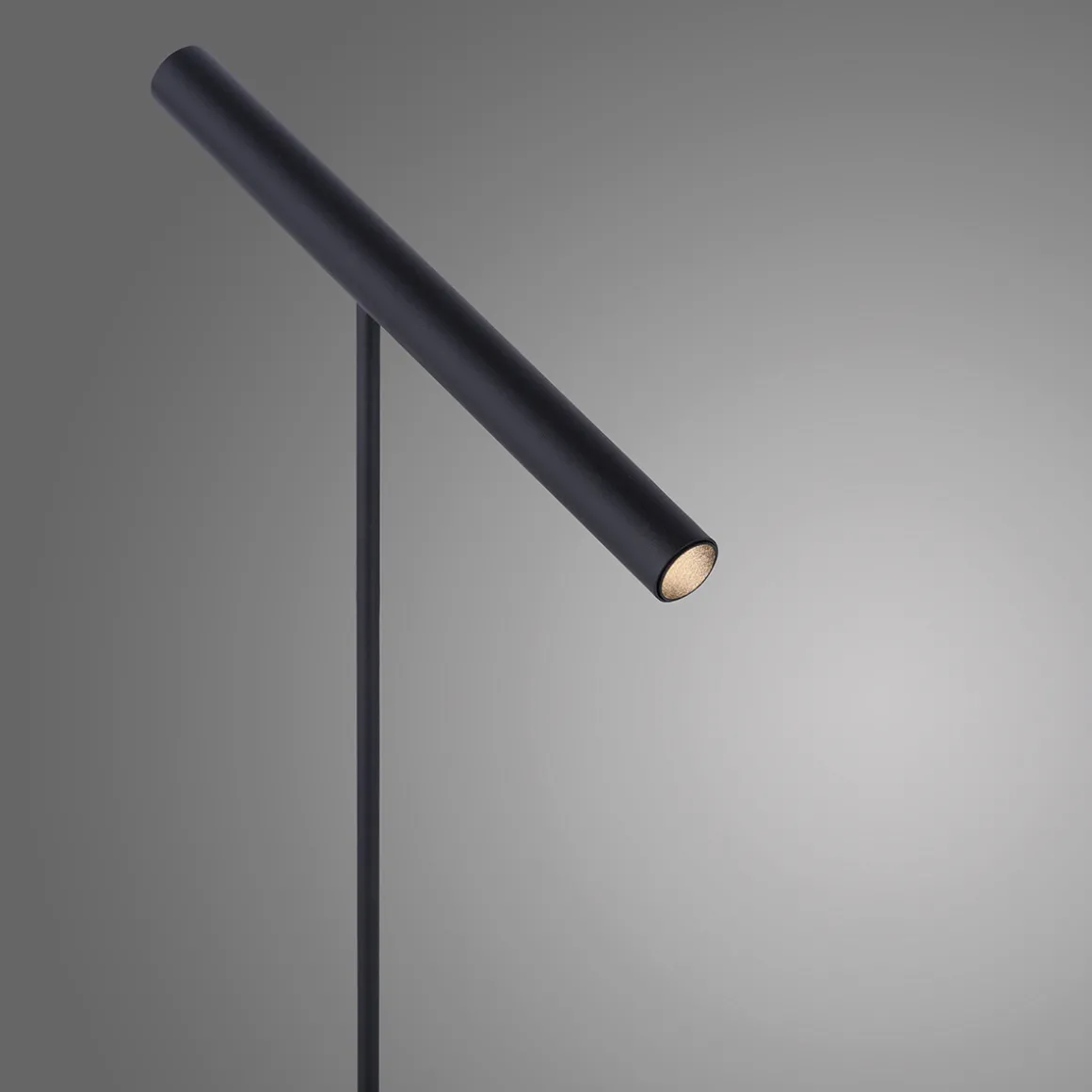 Neuhaus PURE by Paul Neuhaus PURE Tutua LED Stehleuchte