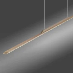 Neuhaus PURE by Paul Neuhaus PURE Surface LED Pendelleuchte