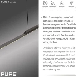 Neuhaus PURE by Paul Neuhaus PURE Surface LED Pendelleuchte