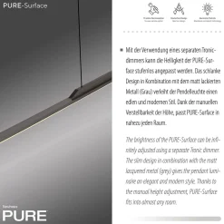 Neuhaus PURE by Paul Neuhaus PURE Surface LED Pendelleuchte