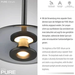 Neuhaus PURE by Paul Neuhaus PURE Vitrum LED Pendelleuchte