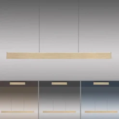 Neuhaus PURE by Paul Neuhaus PURE E-Motion LED Pendelleuchte mit e-LIFT und CCT