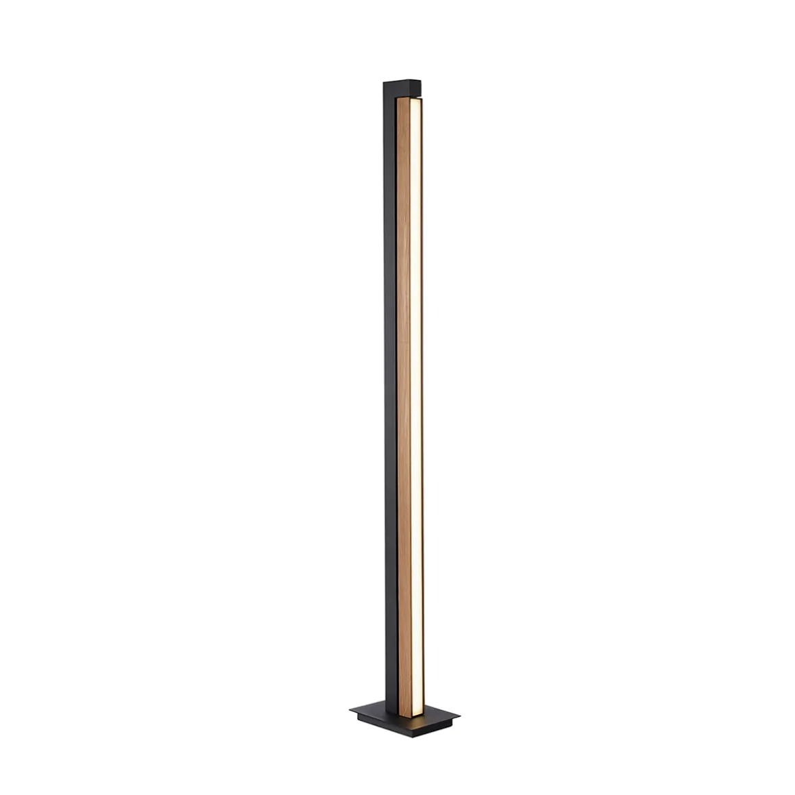 Neuhaus PURE by Paul Neuhaus PURE Lines Floor LED Stehleuchte mit CCT