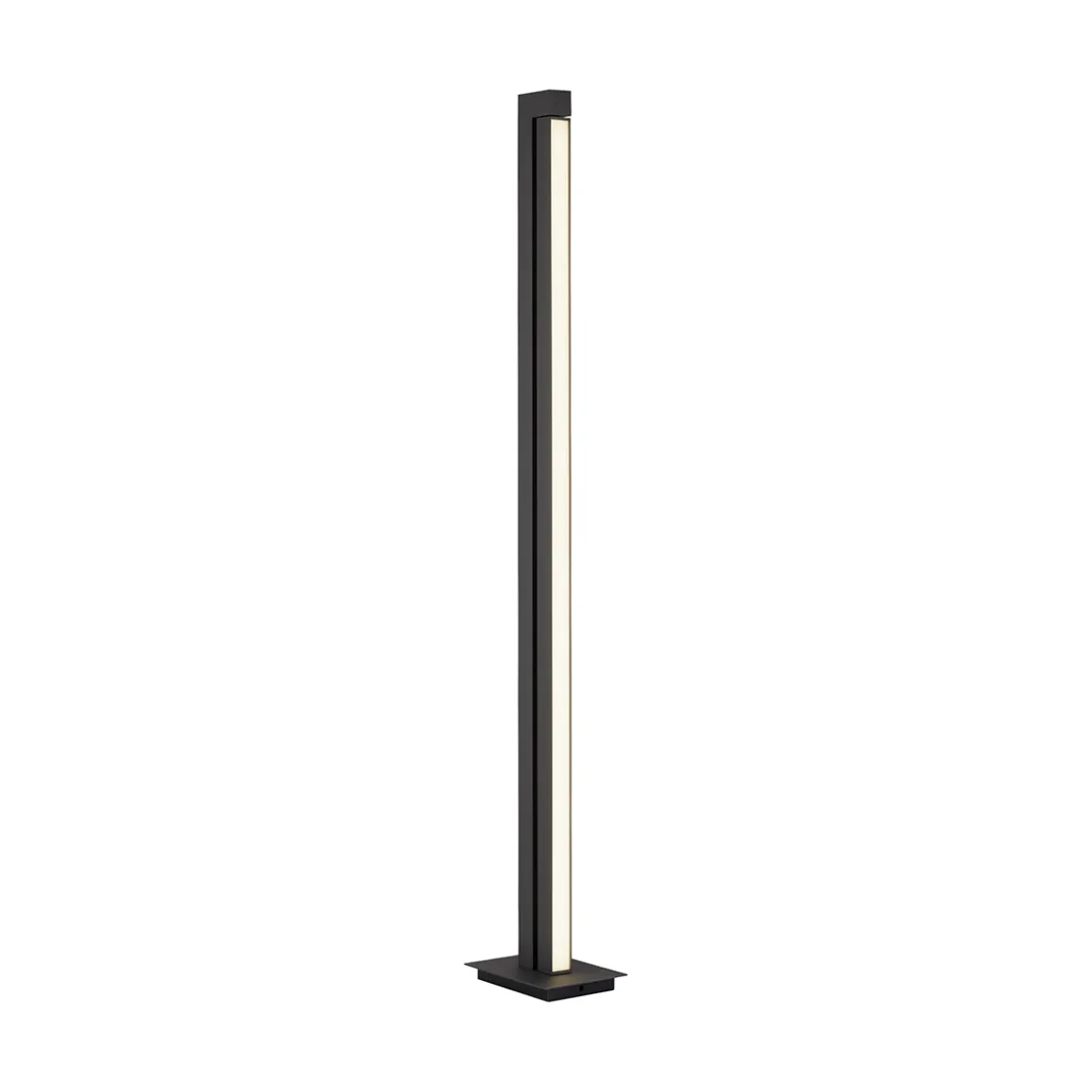 Neuhaus PURE by Paul Neuhaus PURE Lines Floor LED Stehleuchte mit CCT