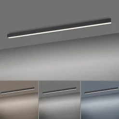 Neuhaus PURE by Paul Neuhaus PURE Lines Straight LED Deckenleuchte mit CCT