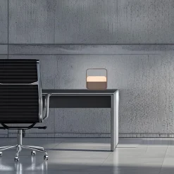 Neuhaus PURE by Paul Neuhaus PURE Go LED Akkuleuchte