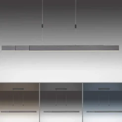 Neuhaus PURE by Paul Neuhaus PURE Moto LED Pendelleuchte mit e-SLIDE und CCT