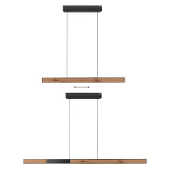 Neuhaus PURE by Paul Neuhaus PURE Moto-Rise LED Pendelleuchte mit e-SLIDE, e-LIFT und CCT, Rückläufer