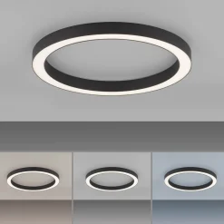 Neuhaus PURE by Paul Neuhaus PURE Lines Round LED Deckenleuchte mit CCT