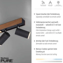Neuhaus PURE by Paul Neuhaus PURE Lines Spot LED Deckenstrahler mit CCT