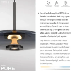 Neuhaus PURE by Paul Neuhaus PURE E-Vitrum LED Pendelleuchte mit e-LIFT und CCT