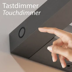 Neuhaus PURE by Paul Neuhaus PURE Puro LED Wandleuchte