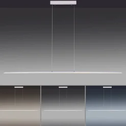 Neuhaus PURE by Paul Neuhaus PURE Lite LED Pendelleuchte mit CCT