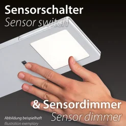 Neuhaus PURE by Paul Neuhaus PURE Lite LED Pendelleuchte mit CCT