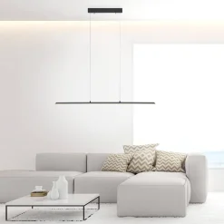 Neuhaus PURE by Paul Neuhaus PURE Lite LED Pendelleuchte mit CCT