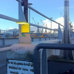 Nimbus Roxxane Fly CL LED Akkuleuchte