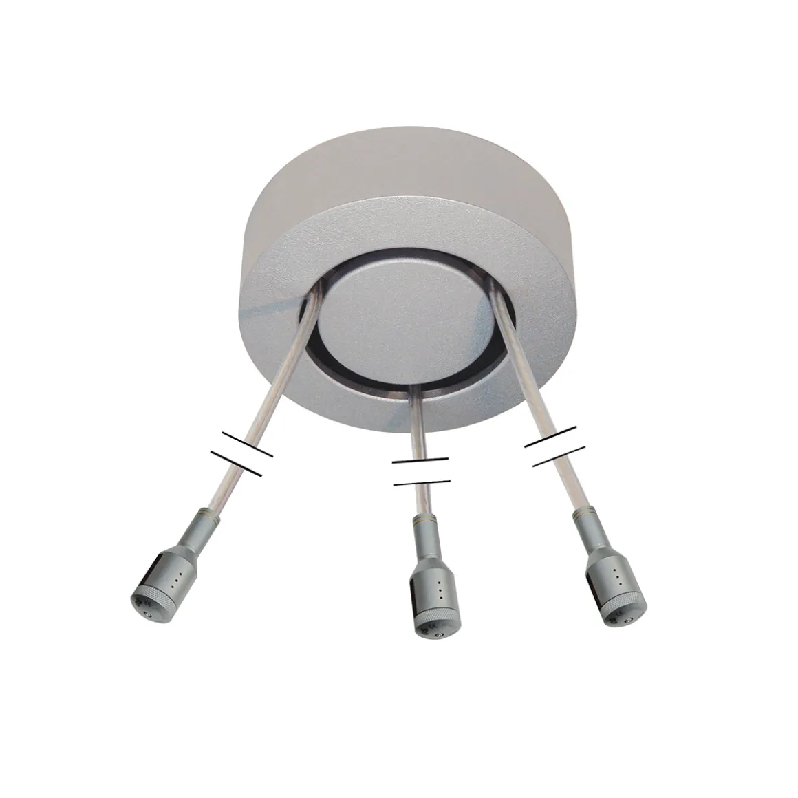 Oligo CHECK-IN System BEAUTY FREE Basic