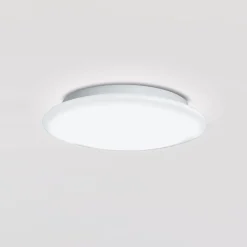 Peill+Putzler Ciclo Wand- / Deckenleuchte