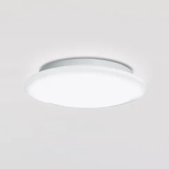 Peill+Putzler Ciclo Wand- / Deckenleuchte