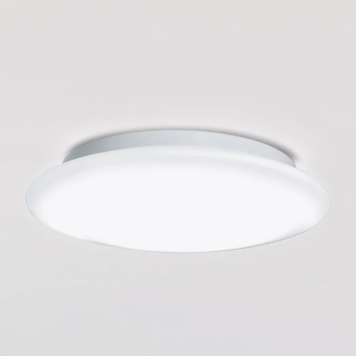 Peill+Putzler Ciclo Wand- / Deckenleuchte