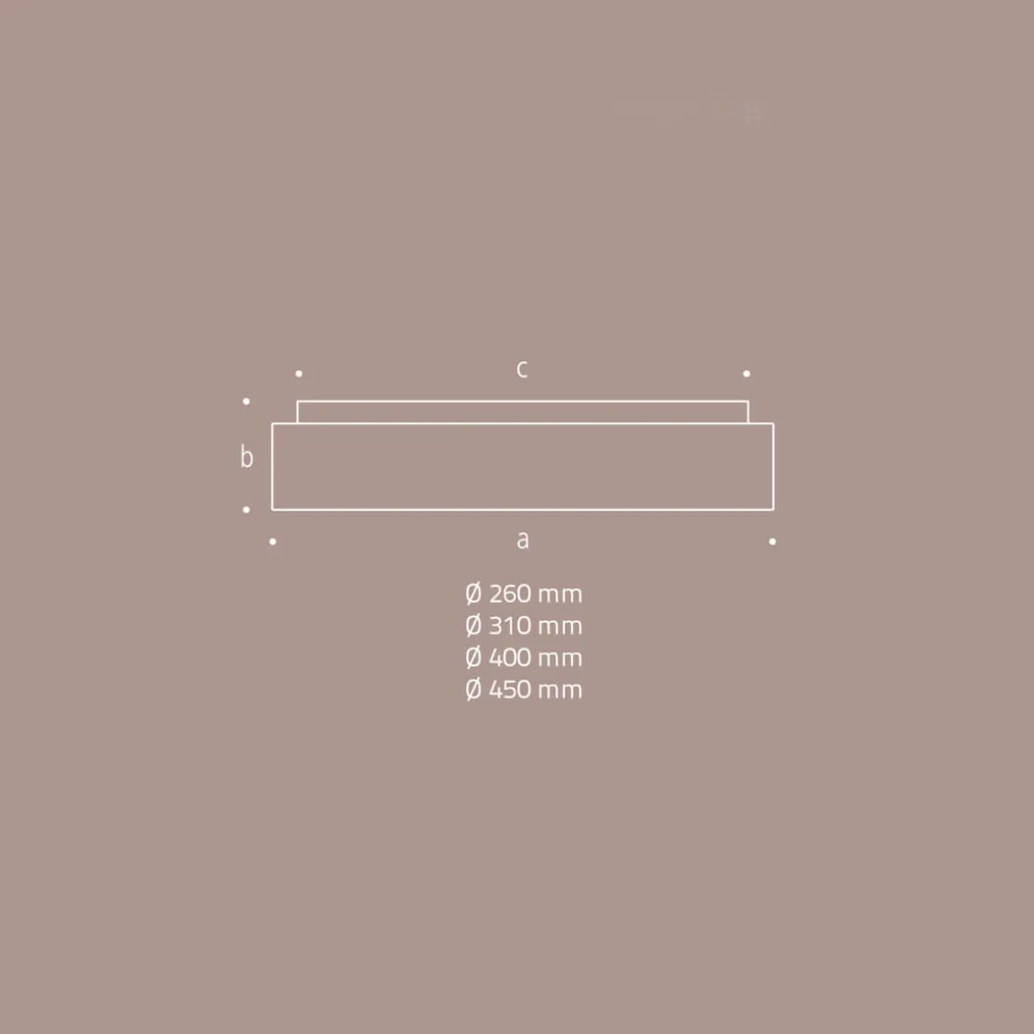 Peill+Putzler Rasa Wand- / Deckenleuchte