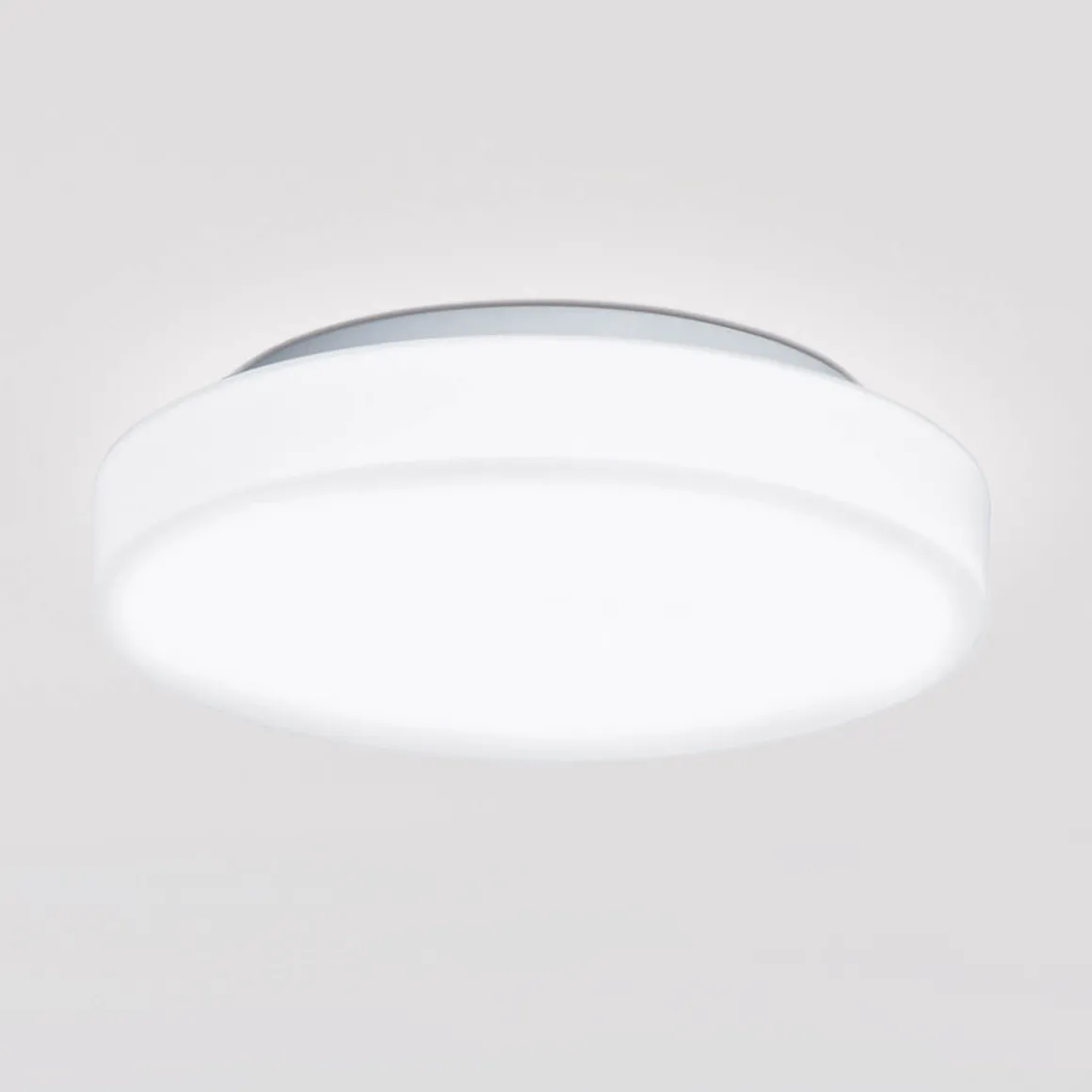 Peill+Putzler Rasa Wand- / Deckenleuchte