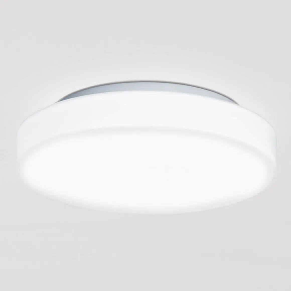 Peill+Putzler Rasa Wand- / Deckenleuchte