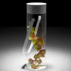 Rotaliana Chiardiluna LED Akkuleuchte & Vase, Auslaufmodell