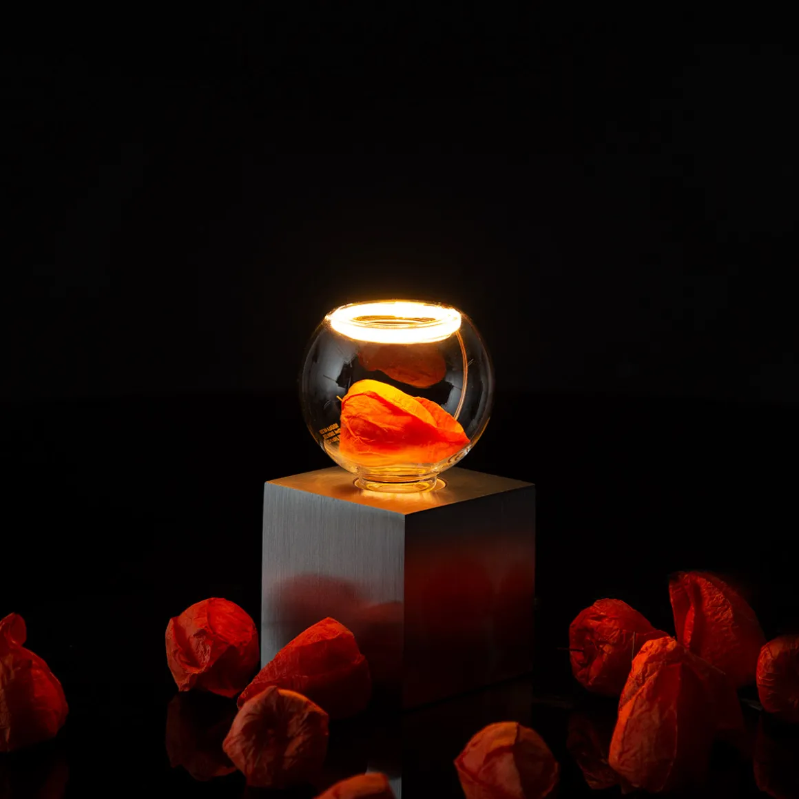 Segula Cubic Tischleuchte mit LED Floating Globe 80 klar