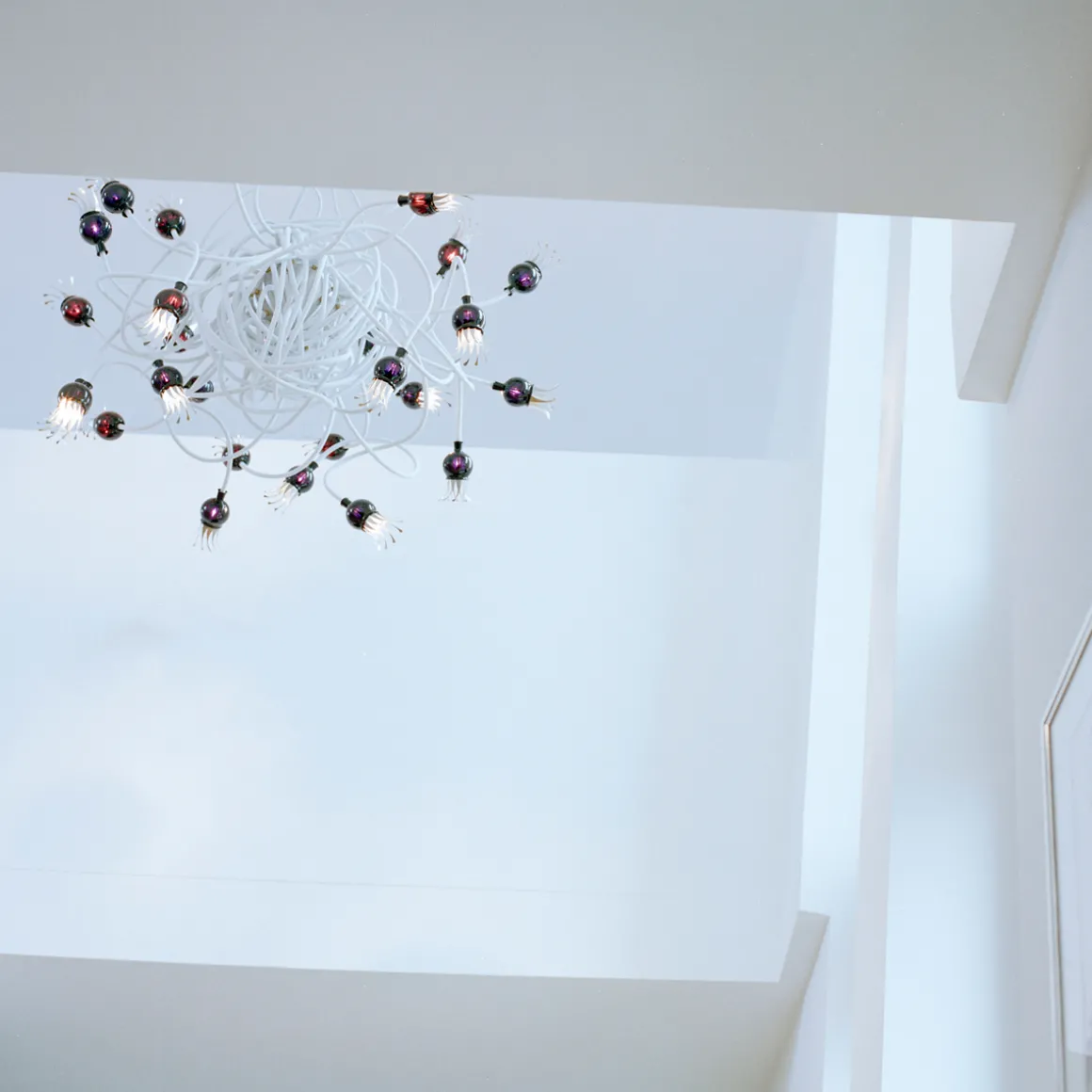 serien.lighting Poppy Suspension Pendelleuchte