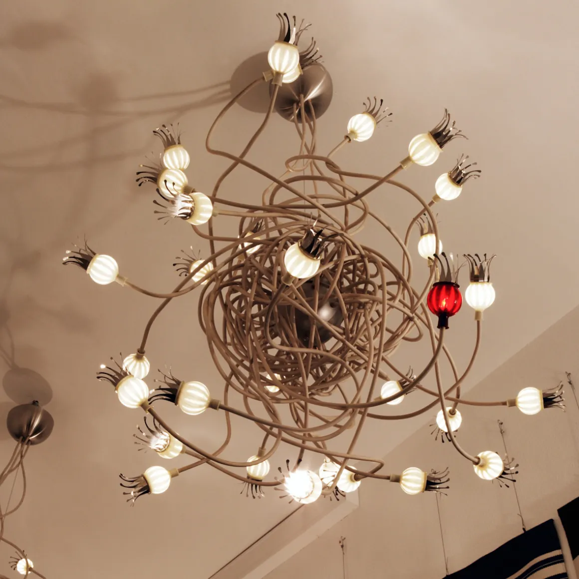 serien.lighting Poppy Suspension Pendelleuchte
