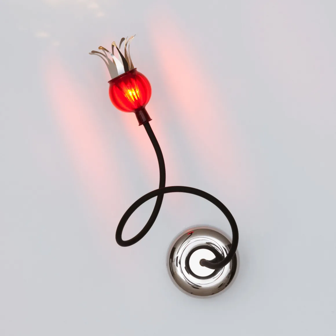 serien.lighting Poppy Wall / Ceiling 1 Wand- / Deckenleuchte