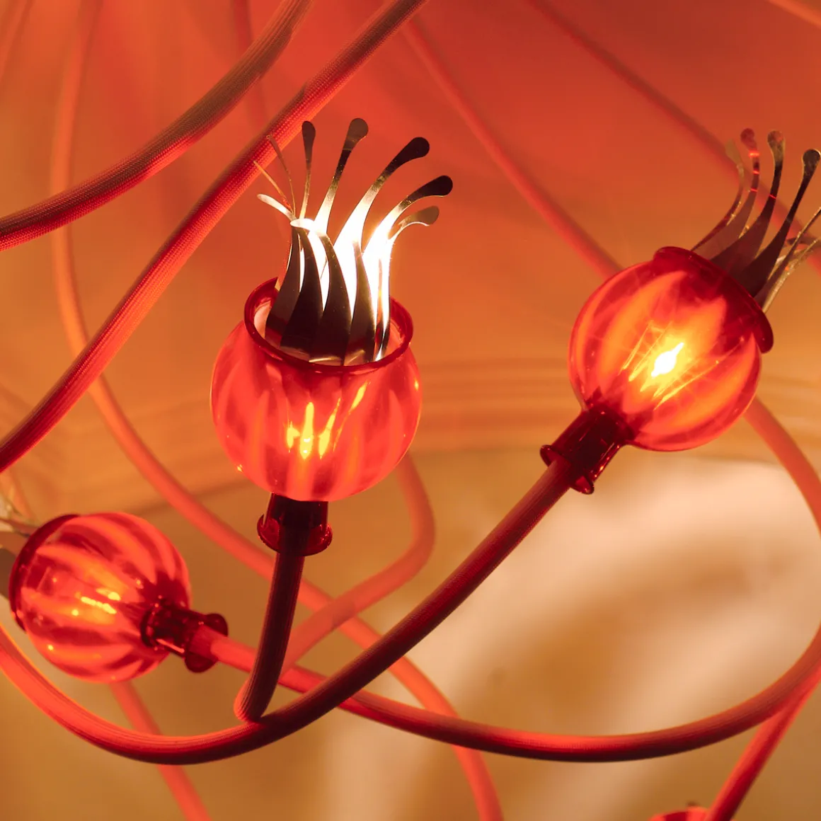 serien.lighting Poppy Wall / Ceiling 5 Wand- / Deckenleuchte