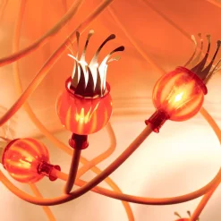 serien.lighting Poppy Wall / Ceiling 5 Wand- / Deckenleuchte